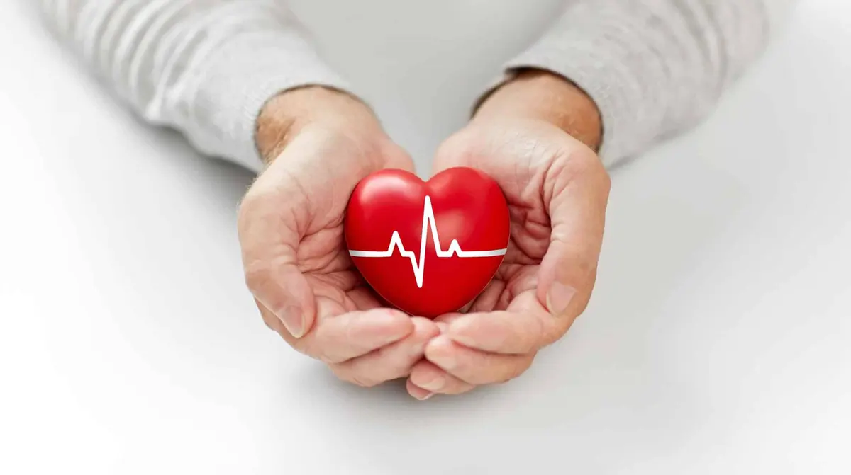 homem mais velho segurando um coração vermelho com linha de eletrocardiograma