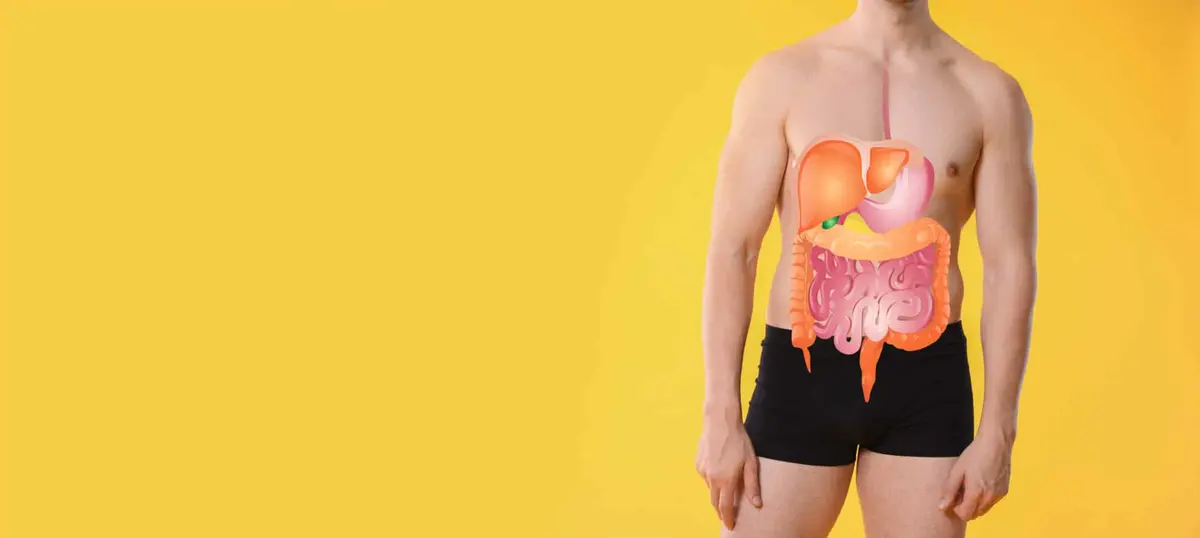 homem com ilustração do sistema digestivo