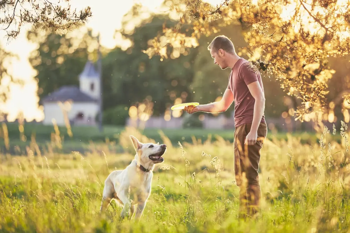 homem com cachorro no parque brincando com frisbee