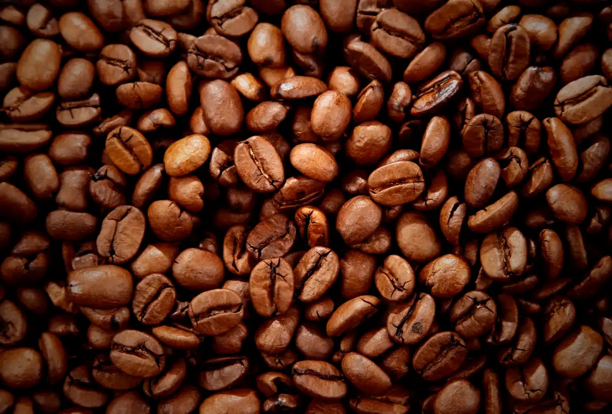 grãos de café