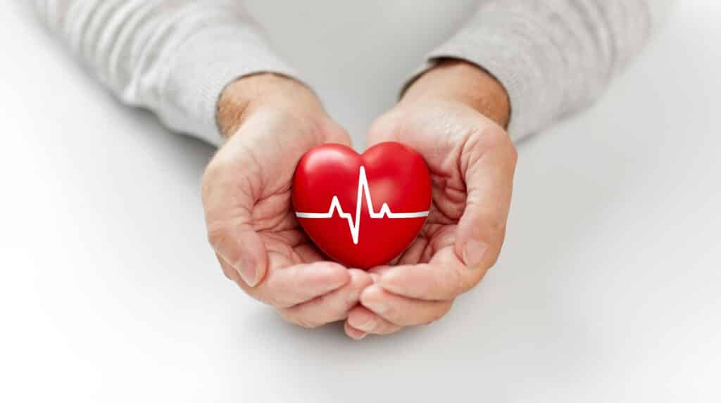 health, charity and people concept - close up of senior man holding red heart with ecg line in hands