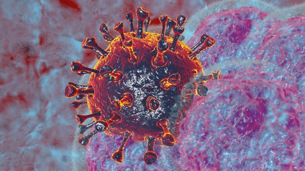sistema imunológico vírus 