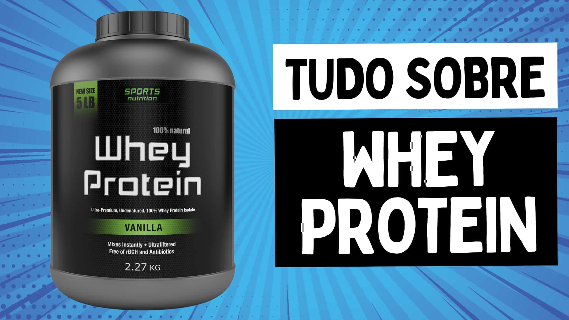 tudo sobre whey protein